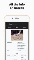 Dog Breeds - Dog Images, Video تصوير الشاشة 2