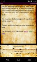 Tiny Text Adventure poster
