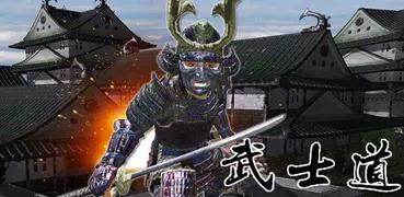 Last Samurai Ninja Assassin
