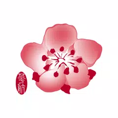 Скачать China Airlines App APK