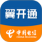 翼开通 icon