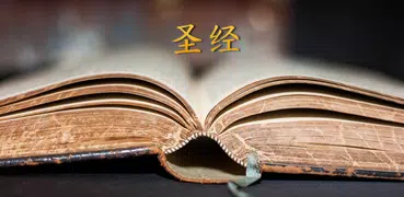 圣经中文