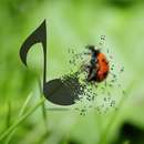 天籟音樂 - 這幾年的好歌 APK