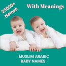 Islam Arabic Baby Names-25000+ APK