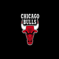 Chicago Bulls News‏