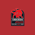 Chicago Bulls