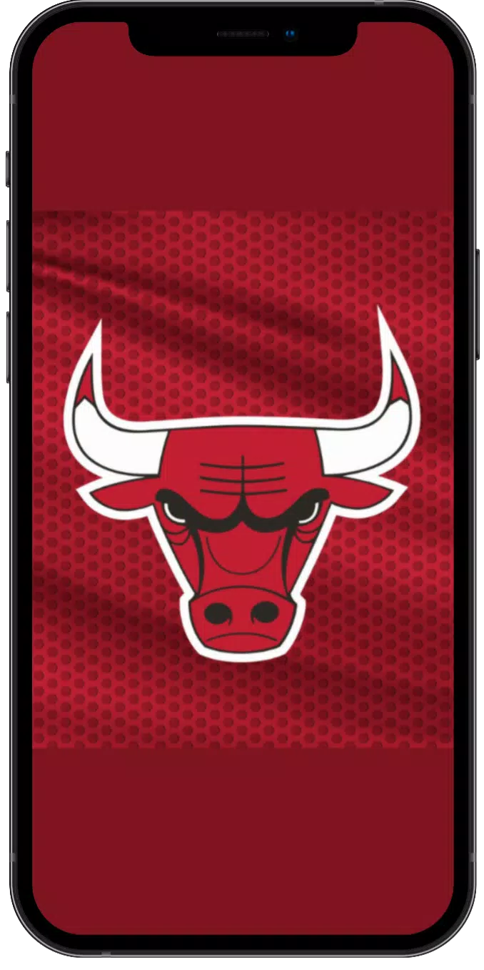 Wallpapers for Chicago Bulls APK for Android Download