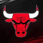Wallpapers for Chicago Bulls icône
