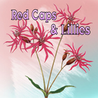 Red Caps And Lillies biểu tượng
