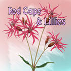 Red Caps And Lillies ícone