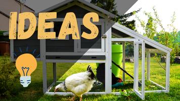 chicken coop Ideas and Plans ポスター