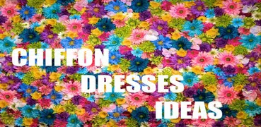 Chiffon Dresses