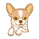 APK Chihuahua App - Guides & Tips