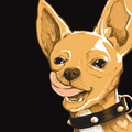 Chihuahua Cerveza