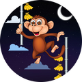 Monkey Slide