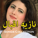 Nazia Iqbal Songs And Tapay Collection APK