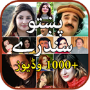 Pashto Songs and Pashto Sandare and Pashto Tapay APK