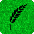 Green Harvest