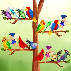 Clasificación de aves colores