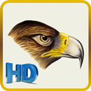 HD Bald Eagle Wallpapers APK