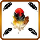 Birds Feathers Wallpapers HD APK
