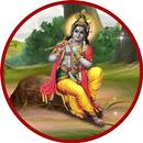 Lord Krishna Wallpapers APK