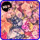 Pink Wallpaper Collection 2019 APK