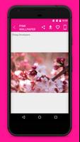 Pink Wallpaper Collection 2018 capture d'écran 2