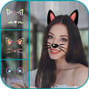 القط الوجه محرر الصور APK