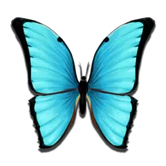 Butterfly Meadow APK download