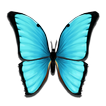 Butterfly Meadow