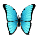 Butterfly Meadow APK