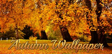 Autumn Wallpaper