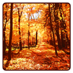 Autunno sfondo