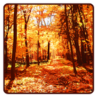 Autumn Wallpaper أيقونة