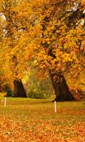 Automne fond d'écran capture d'écran 3