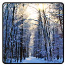 Winter Wallpaper APK