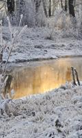 Winter Wallpaper تصوير الشاشة 3