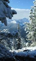 Winter Wallpaper الملصق