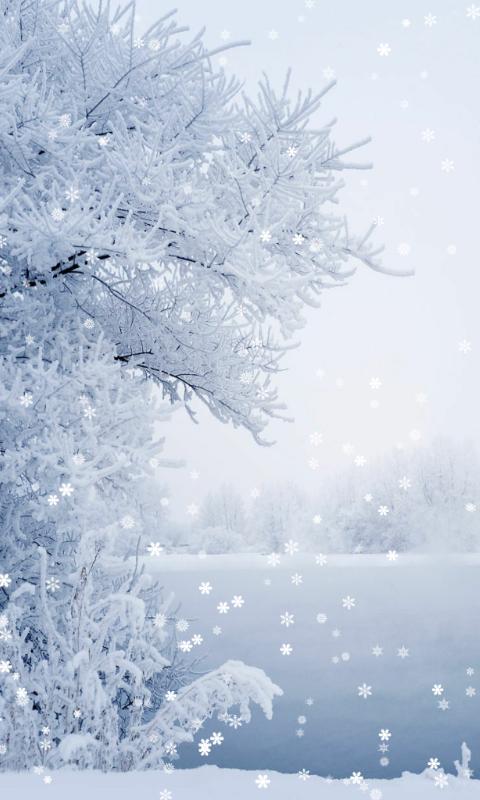 Kar Duvar Kagidi Kis Duvar Kagidi Kis Kar Snow Snow Wallpaper Winter Winter Wallpapers Kar Kis Buz Cocuk Cat 122 Manzara Manzara Resimleri Geziler