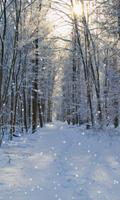 2 Schermata Inverno sfondo
