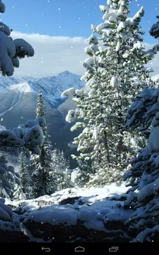 Screenshot 8 for Winter Wallpaper
