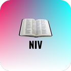 Holy Bible NIV ikon