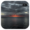 Grey Wallpapers 4K APK