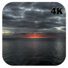 Grey Wallpapers 4K icono
