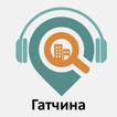 Гатчина: Путеводитель ícone