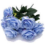 Romantic Flowers and Roses icon