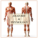 Anatomy And Physiology APK