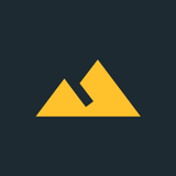 Choice icon