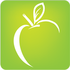 Choicelunch icon